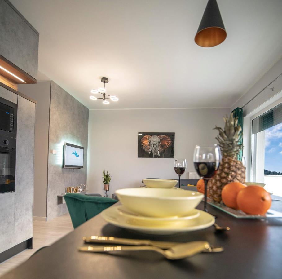 Apartament W Cieplicach Deluxe イェレニャ・グーラ エクステリア 写真